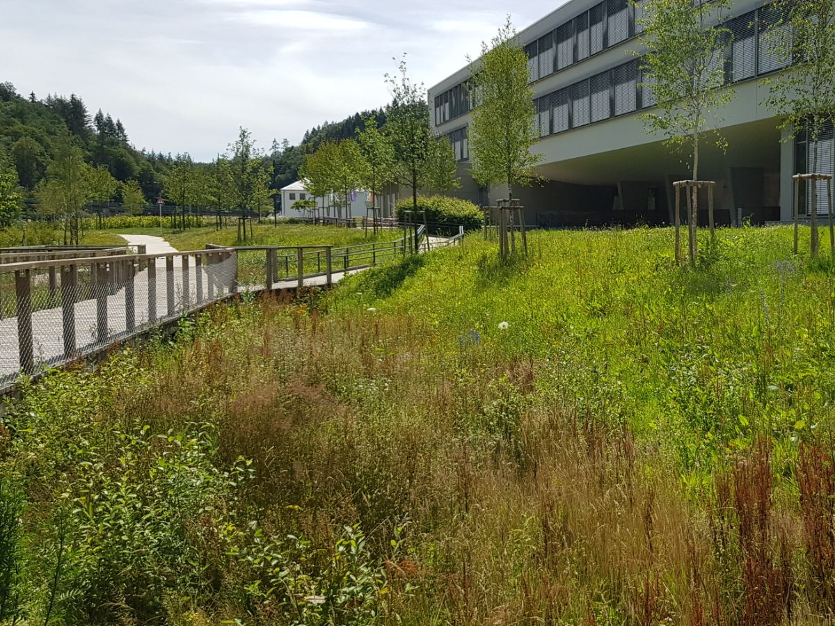Génie Biologique